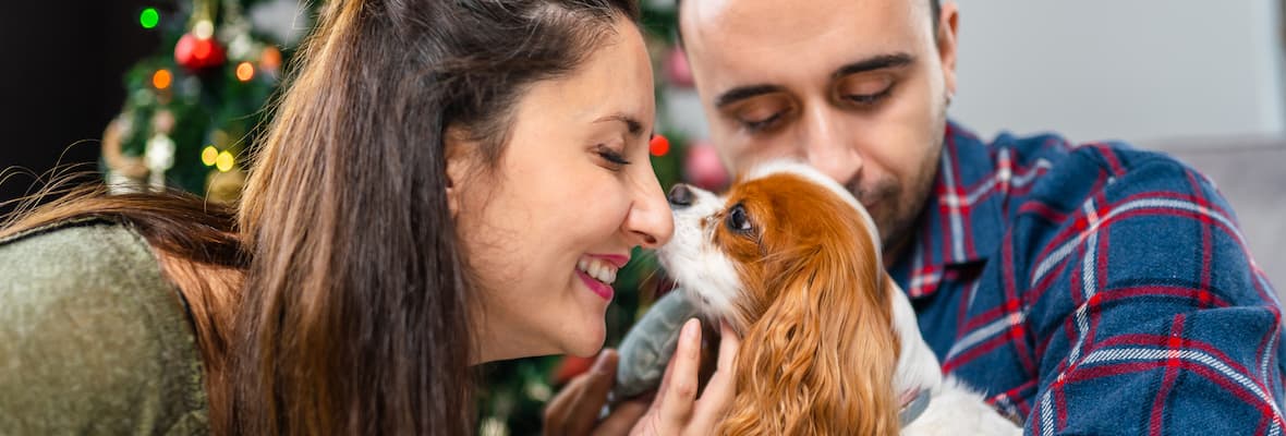 Young couple cuddle their Spaniel in front of a Christmas tree
