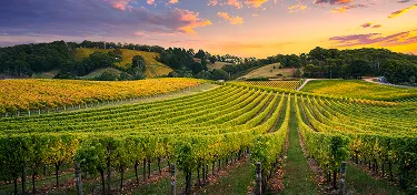 Car Insurance South Australia