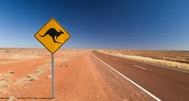 Australian road sign that indicates kangaroos ahead.