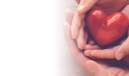 Child's hands encased by parent's hands holding a heart