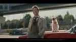 Thumbnail for Budget Direct - Award-Winning Car Insurance