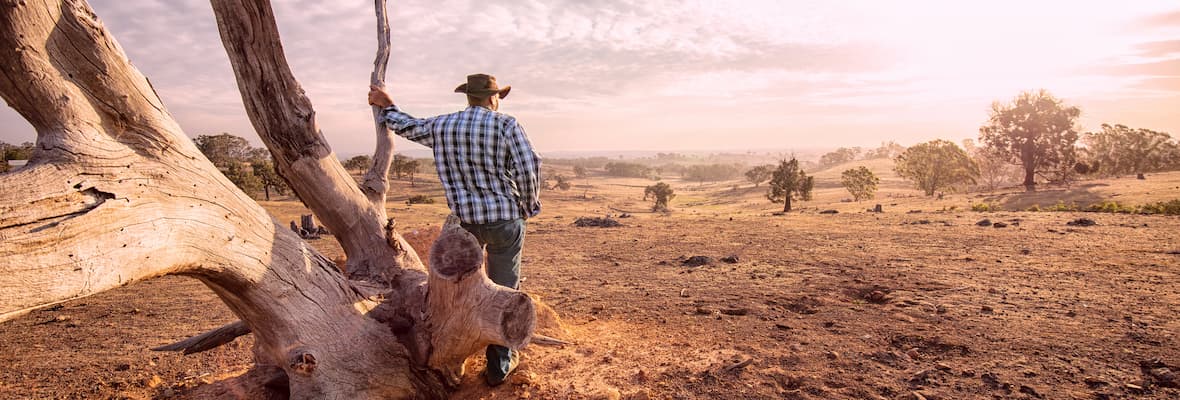 Australian farmer looks over dry land during bushfire season