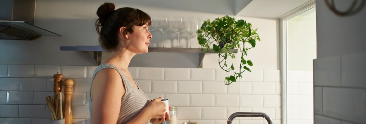 budget home insurance