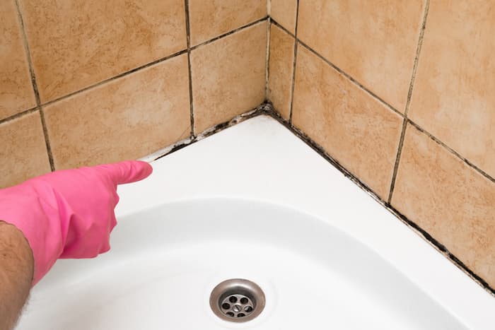 person with pink rubber glove pointing at mould in tiles in bathroom