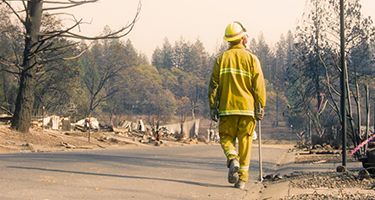 What You Need to Know About Australian Bushfire Season