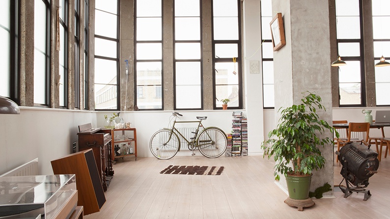 Loft style apartment with a bicycle, plants and instruments