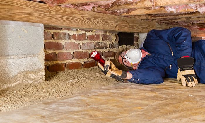 House inspector under floor