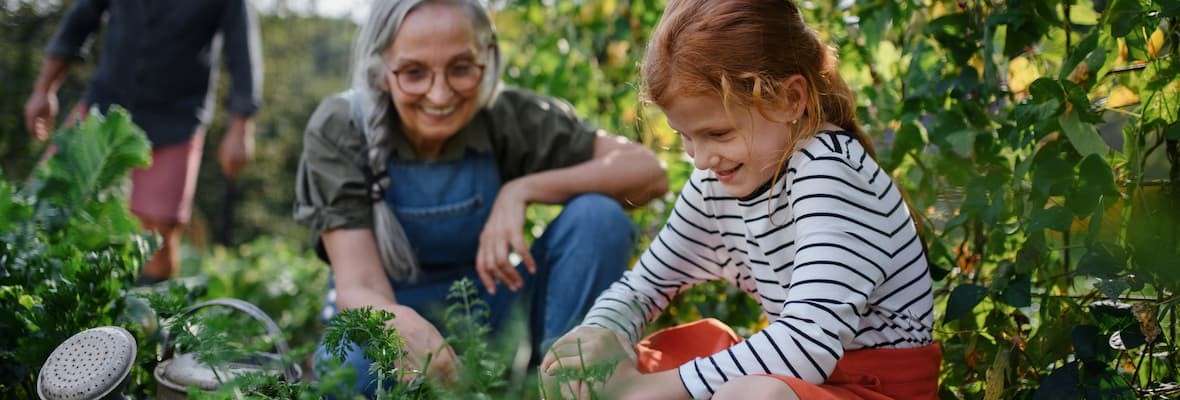 Retired grandmother and granddaughter spend time gardening together