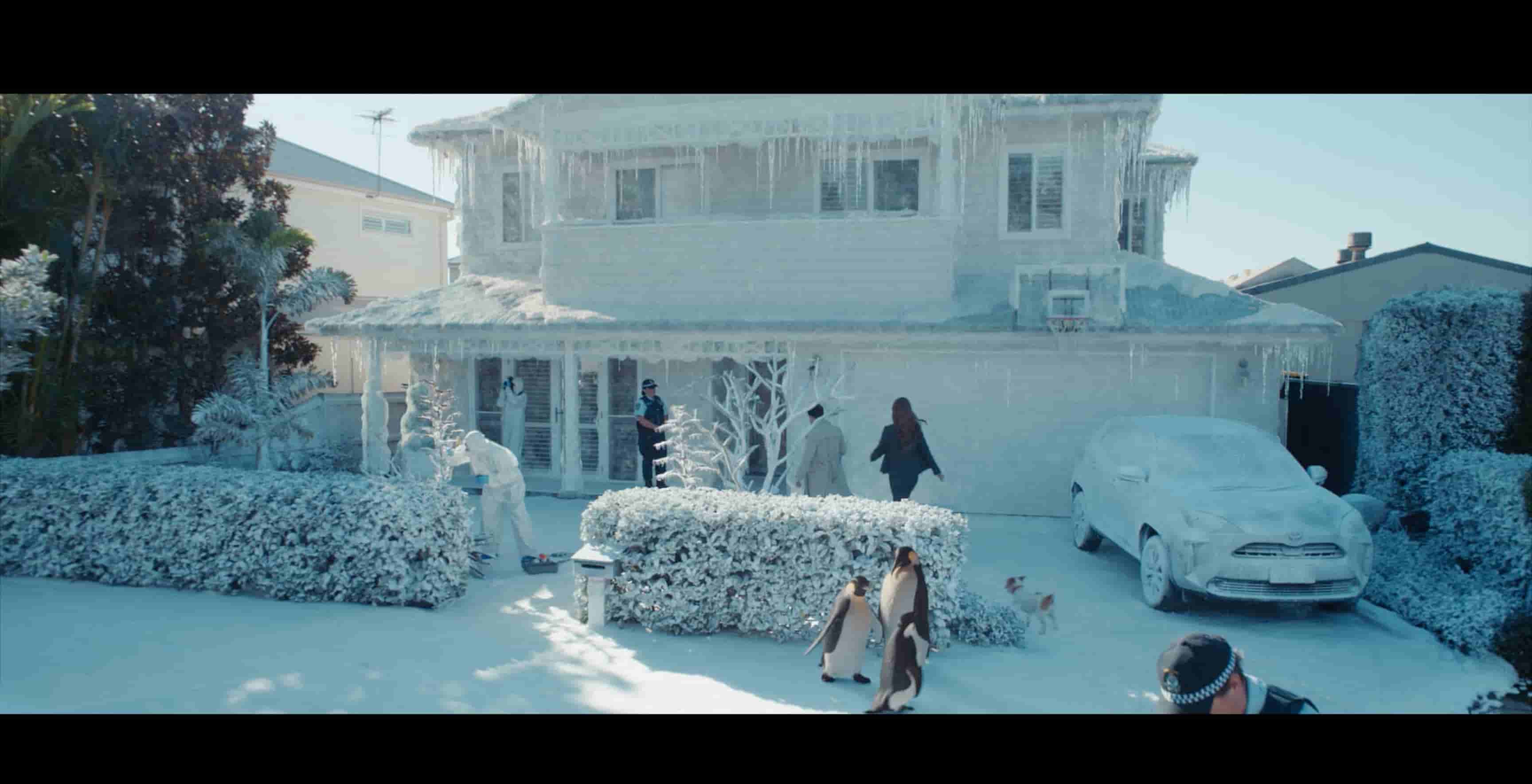 Budget Direct - Frozen