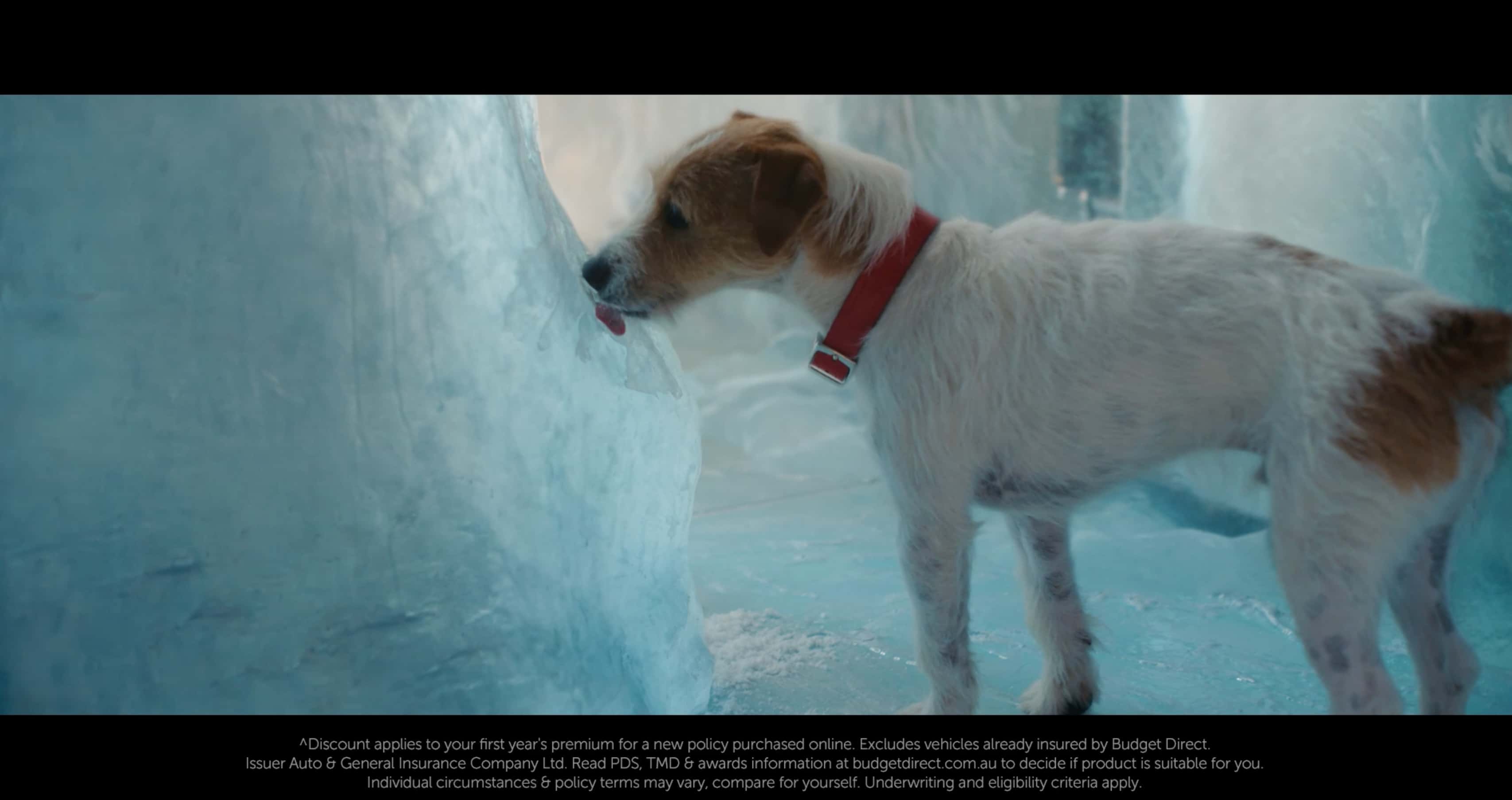 Budget Direct - Cool Online Discounts