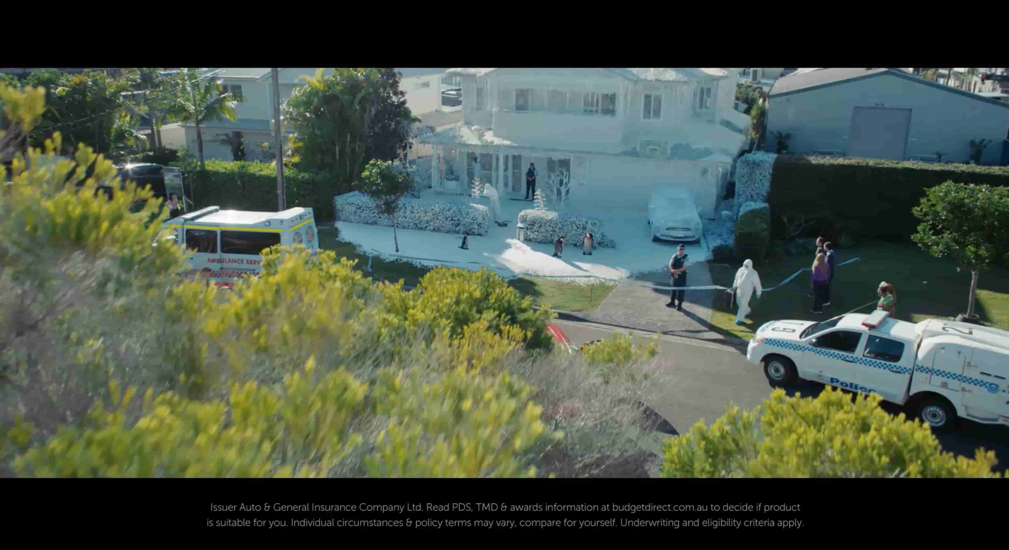 Budget Direct - Penguin Approved