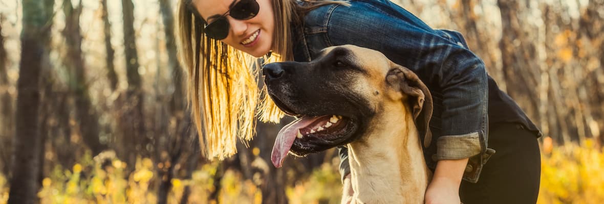 Woman hugs her Great Dane while they're on a walk