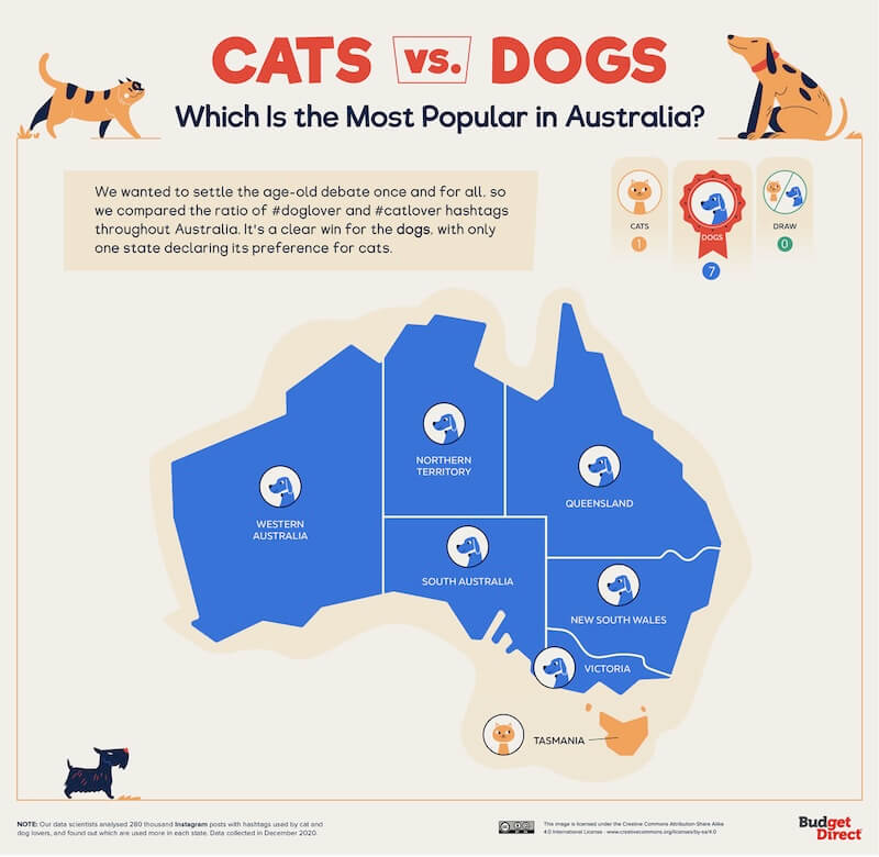 Cats vs. Dogs Which Does the World Prefer? Budget Direct