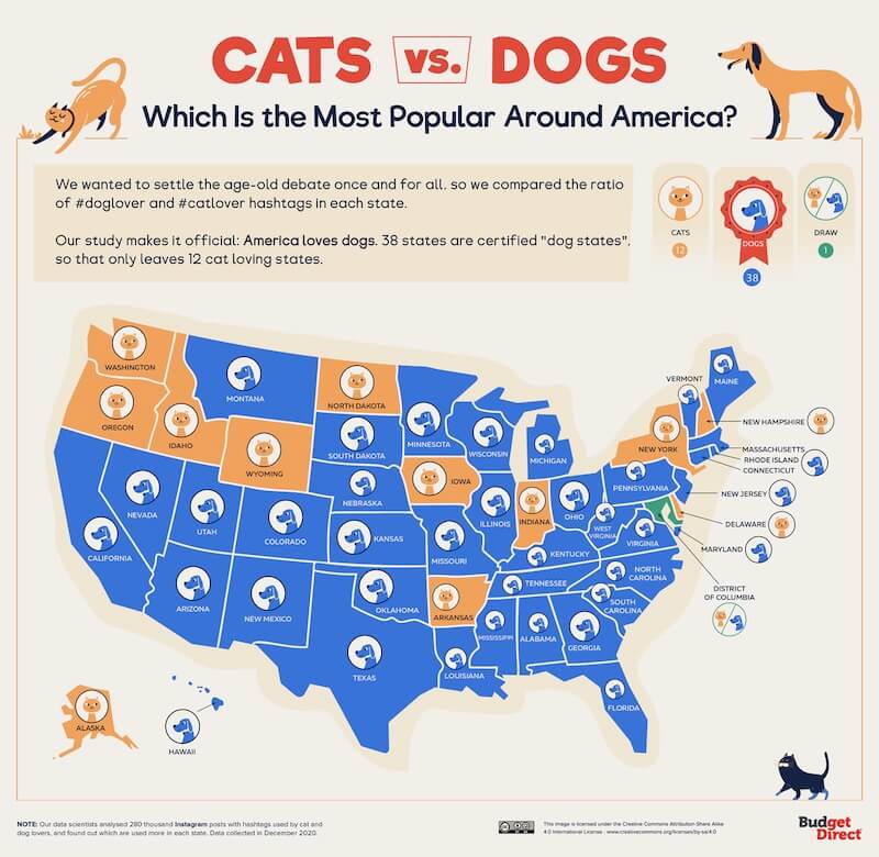 Cats vs Dogs - Which is the most popular around America?