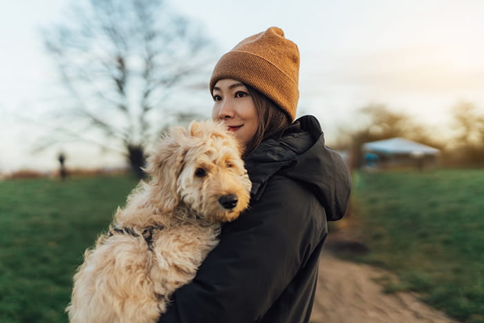 how much does it cost to bring your dog to australia