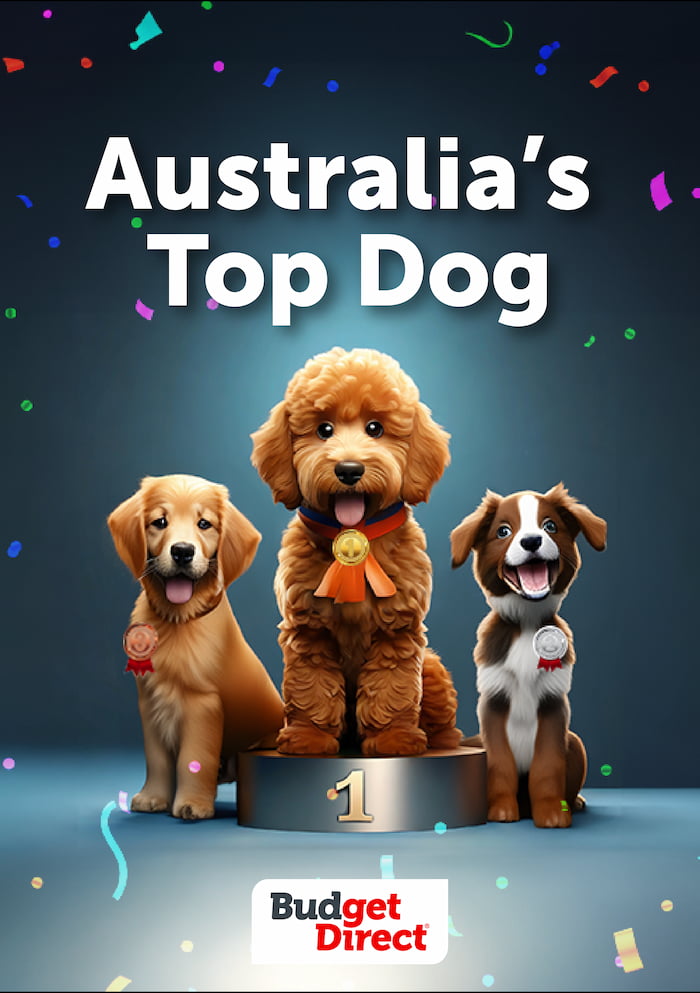 Australia's Top Dog