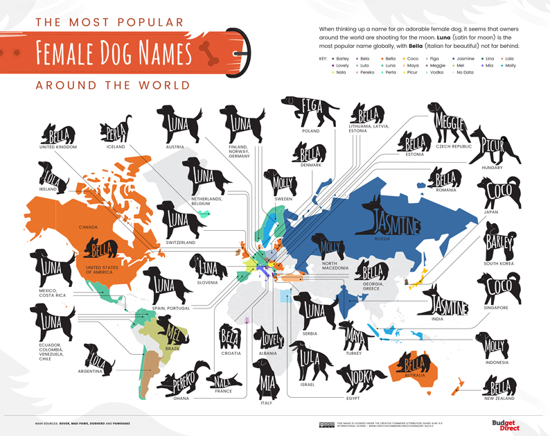 Most popular female dog names around the world