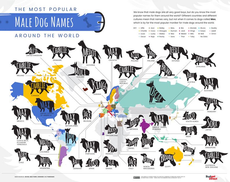 Most popular male dog names around the world