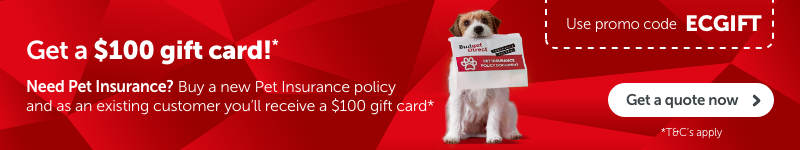 Need Pet Insurance? Buy a new Pet Insurance policy and as an existing customer you'll receive a $100 gift card - T&Cs apply. Click to learn more