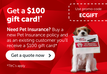 Need Pet Insurance? Buy a new Pet Insurance policy and as an existing customer you'll receive a $100 gift card - T&Cs apply. Click to learn more