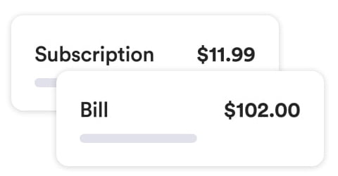 Example of Money Manager bills