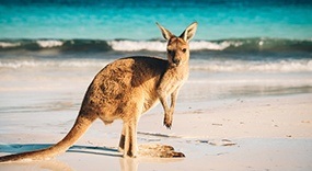 Australian Tourism Statistics 2020