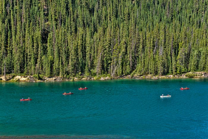 Tourists canoe in a group on Yukon River in the Yukon Territory.