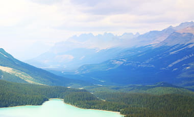 Cheap Travel Insurance Quotes | Save 15%^ Online | Budget Direct