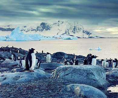 Antarctica
