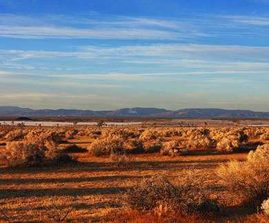 The Mojave Desert