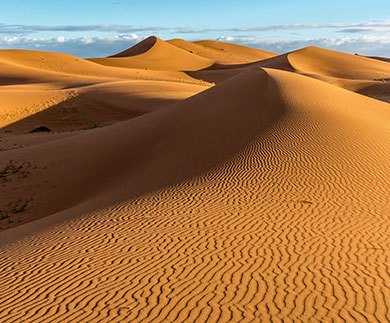 The Sahara Desert